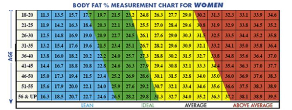 Fat Percentage Chart